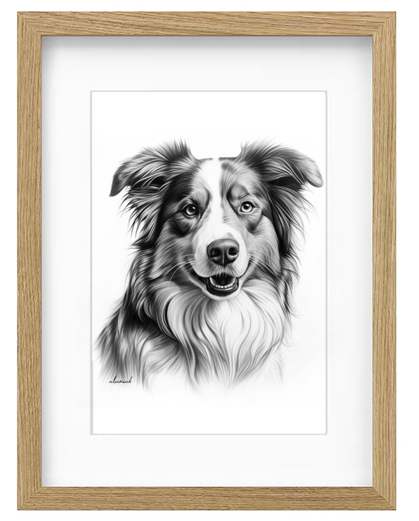 Kunstdruck - Amerikanischer Schäferhund