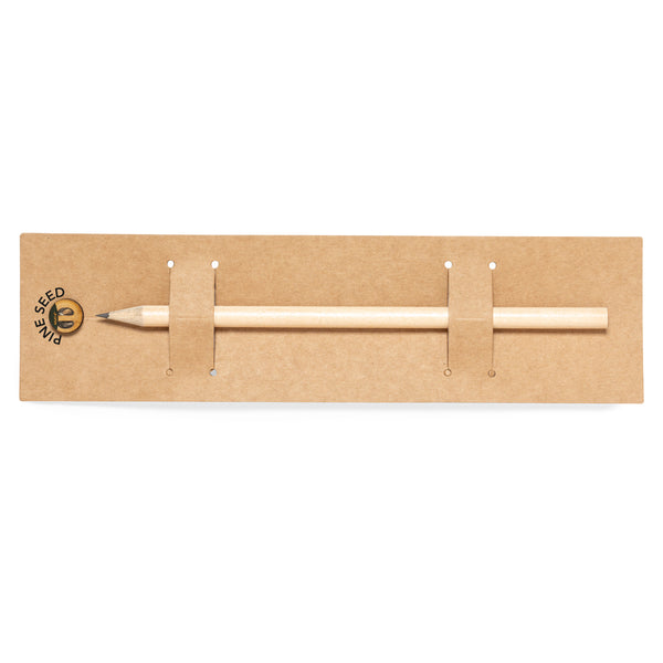 Samen Bleistift - Etesio