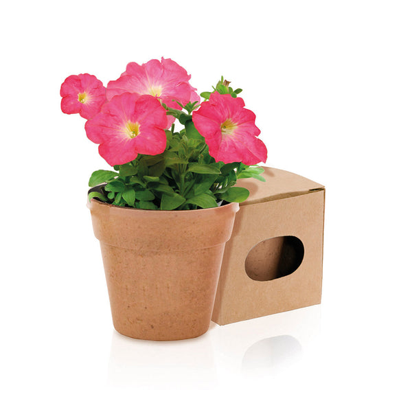 Strandball - Portobello