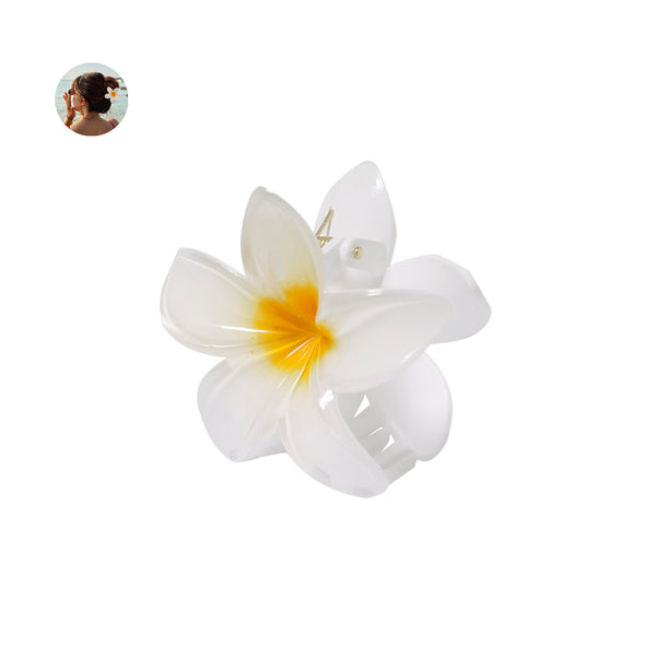 Haarklammer - Tixcon